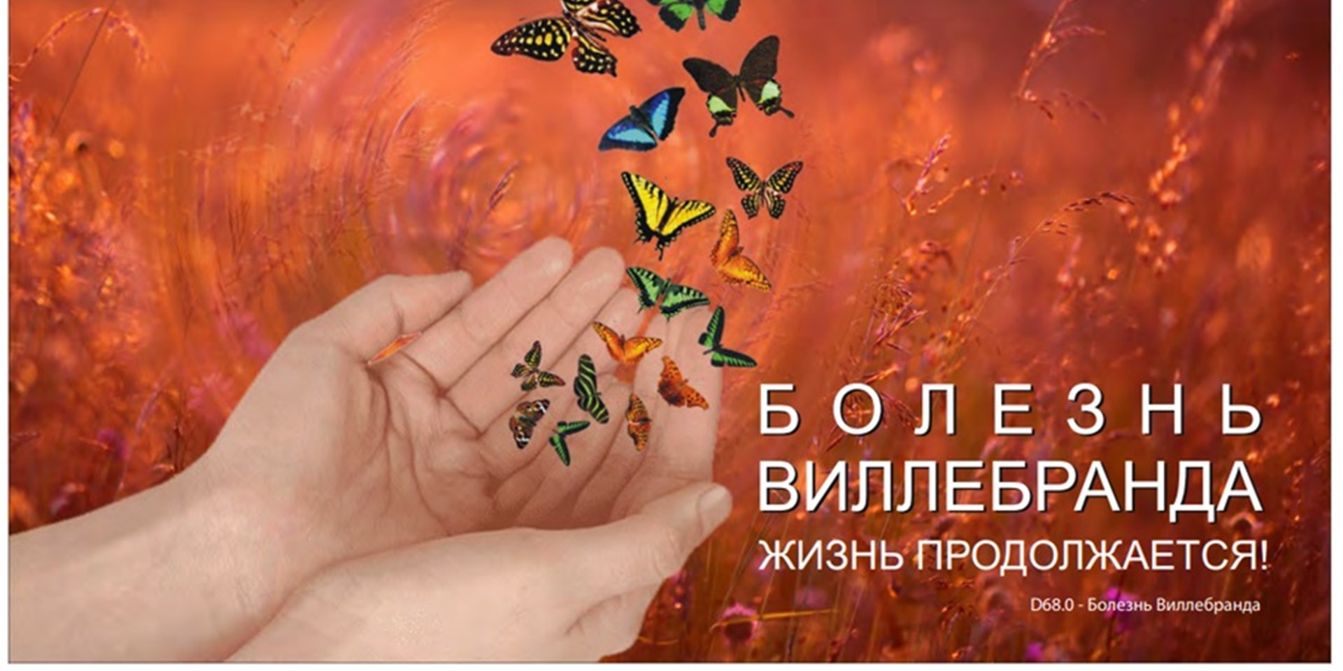 Болезнь Виллебранда. Жизнь продолжается